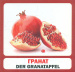 ������. Das obst. ��������� ������ (���/���)