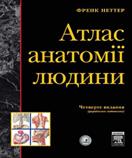 Атлас анатомії людини. 4-те видання (мг)