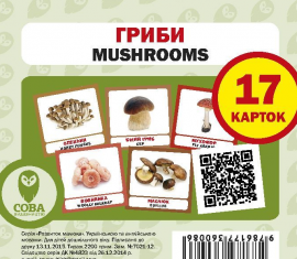 . Mushrooms.   (/)