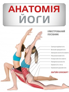 ������� ����. ������������ �������